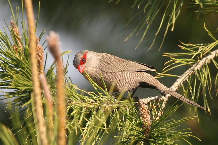 �I�i�K�J�G�f�`���E