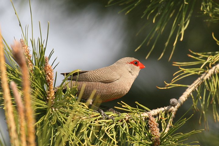 �I�i�K�J�G�f�`���E