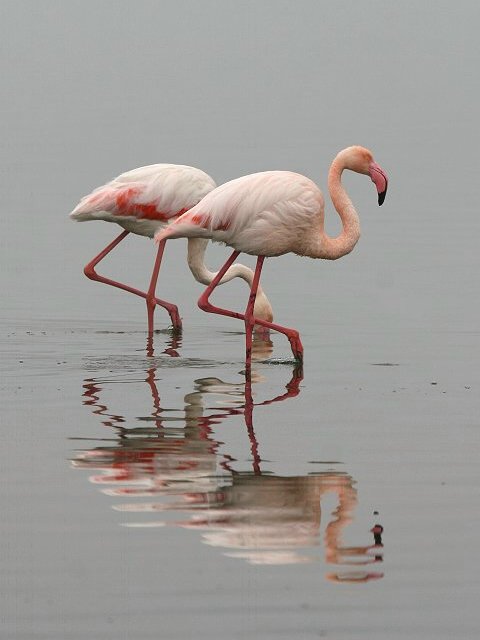 �I�I�t���~���S