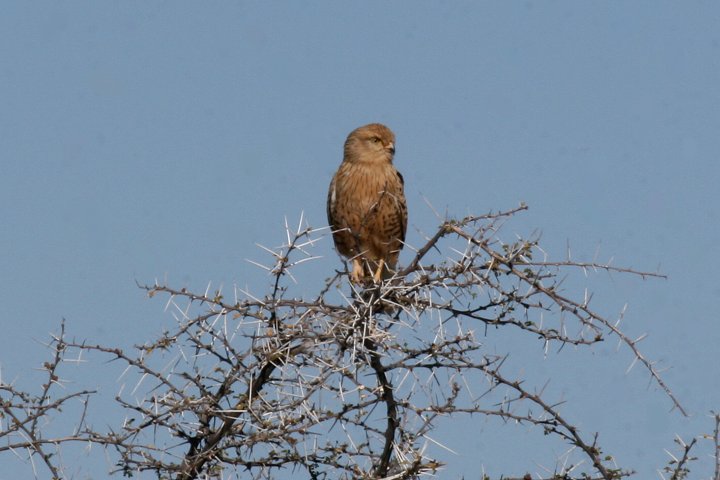 ���W���`���E�Q���{�E