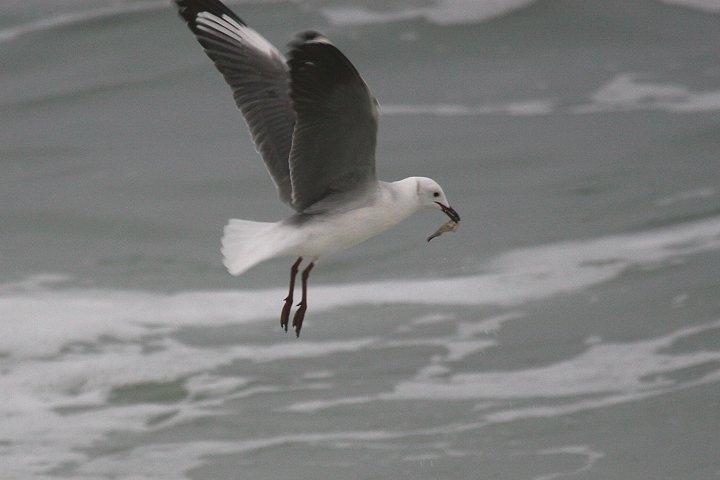 �A�t���J�M���J����