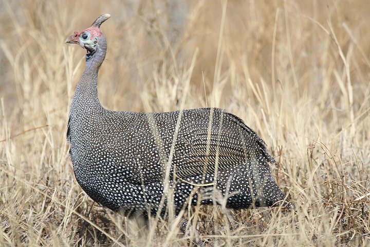 �z���z���`���E