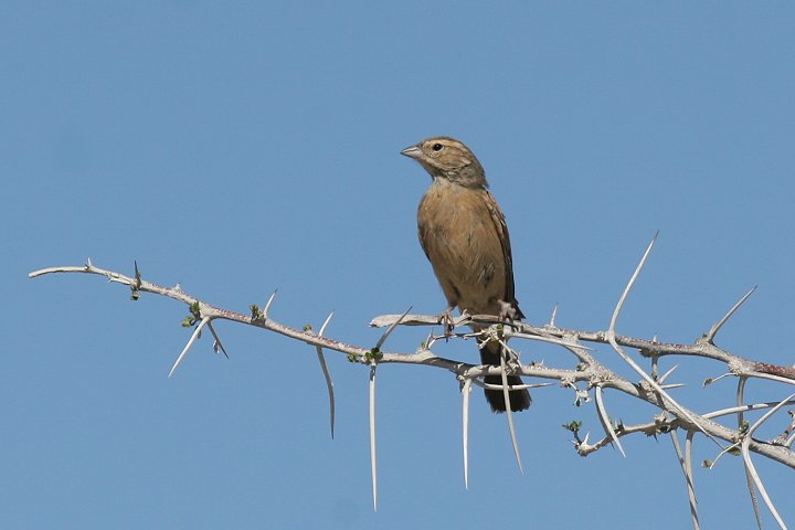 �q�o���z�I�W��