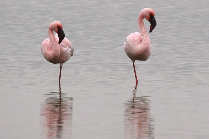 �R�t���~���S