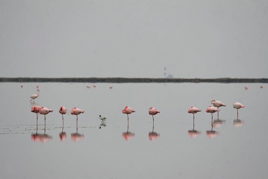 �R�t���~���S