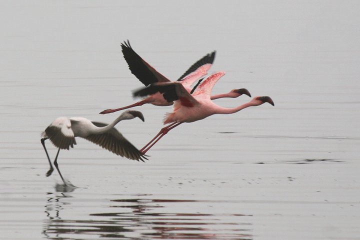 �R�t���~���S