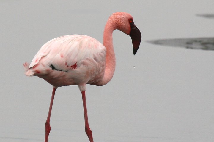 �R�t���~���S