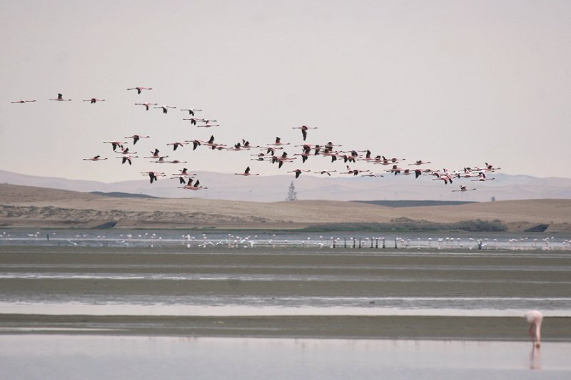 �R�t���~���S