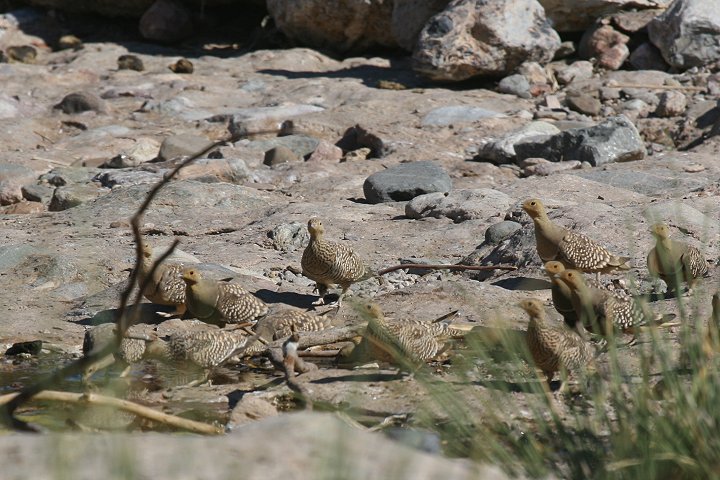 �N�����l�T�P�C