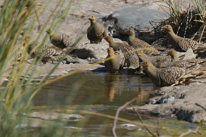 �N�����l�T�P�C