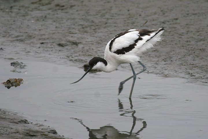 �\���n�V�Z�C�^�J�V�M