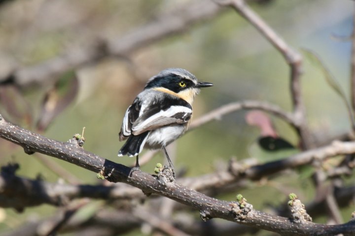 ���L�W�}�Z���^�r�^�L