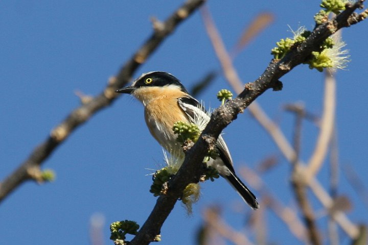 ���L�W�}�Z���^�r�^�L