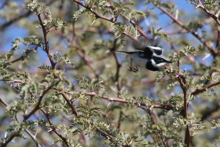 ���L�W�}�Z���^�r�^�L�H