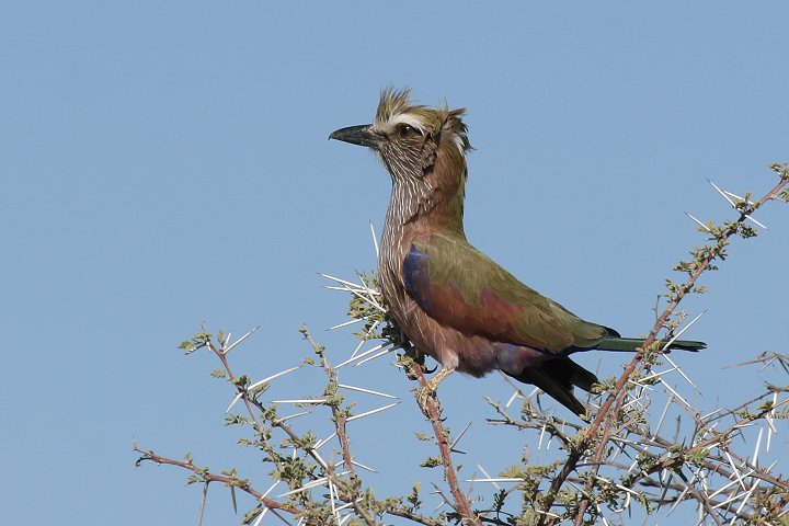 �`���K�V���j�V�u�b�|�E�\�E