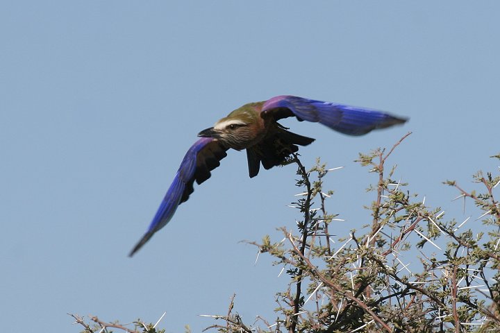 �`���K�V���j�V�u�b�|�E�\�E