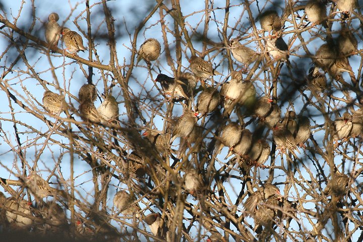 `	�R�E���E�`���E