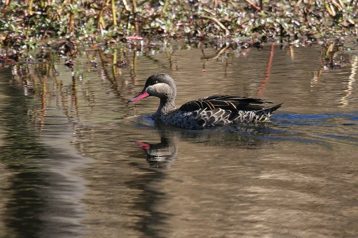 �A�J�n�V�I�i�K�K��