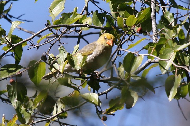 �A�J�K�V�������n�^�I��