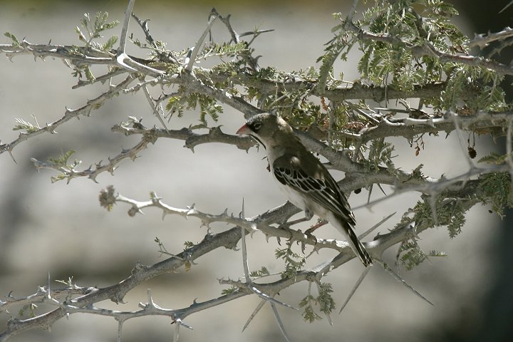 �L�N�X�Y��