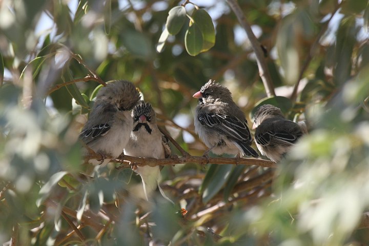 �L�N�X�Y��