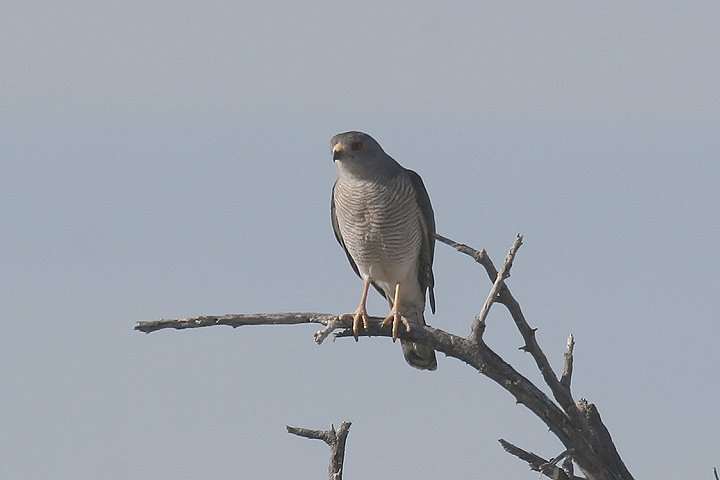 �^�J�T�S�_�J