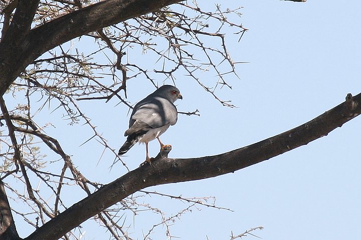 �^�J�T�S�_�J