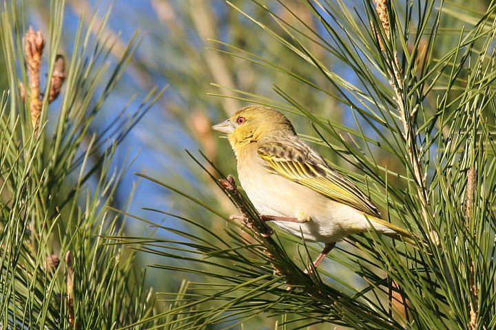 �����K�^�n�^�I��