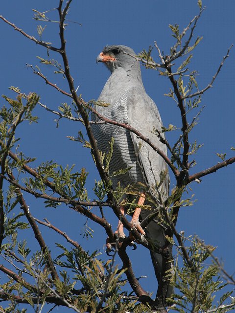 �R�V�W���E�^�I�I�^�J