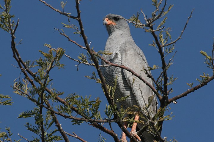 �R�V�W���E�^�I�I�^�J