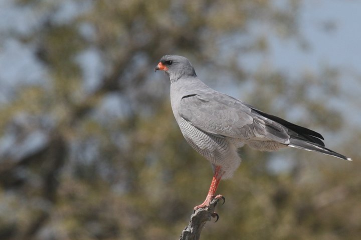 �R�V�W���E�^�I�I�^�J