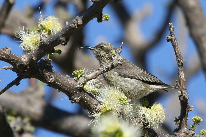 �q�K�V�j�V�L�^�C���E�`���E