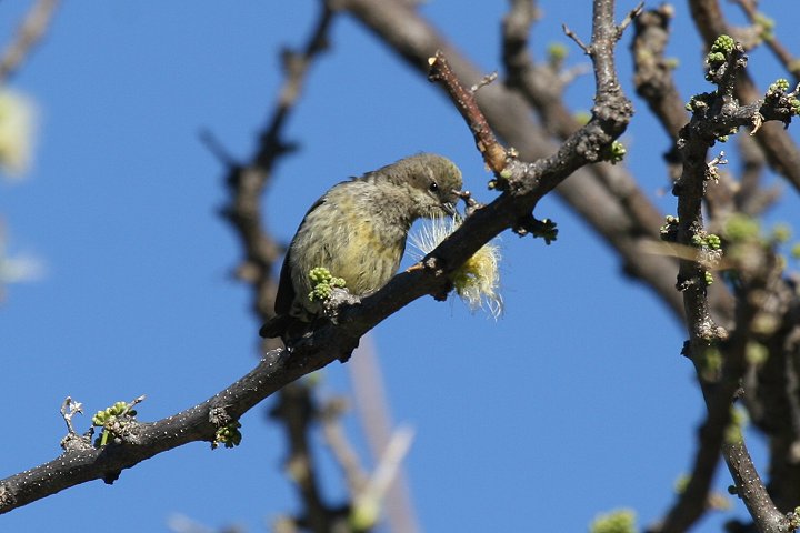 �q�K�V�j�V�L�^�C���E�`���E