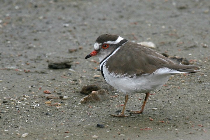 �~�X�W�`�h��