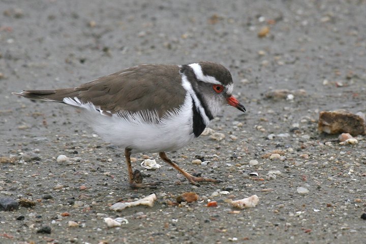 �~�X�W�`�h��