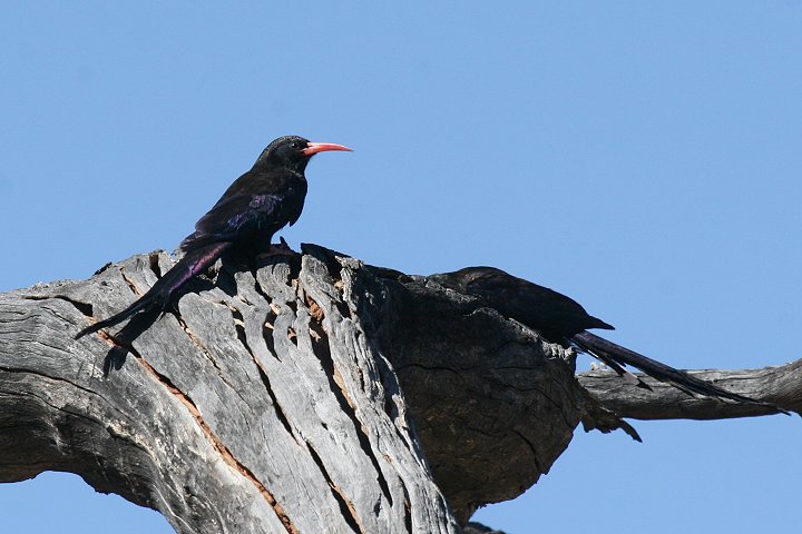 �����T�L�������c�K�V��