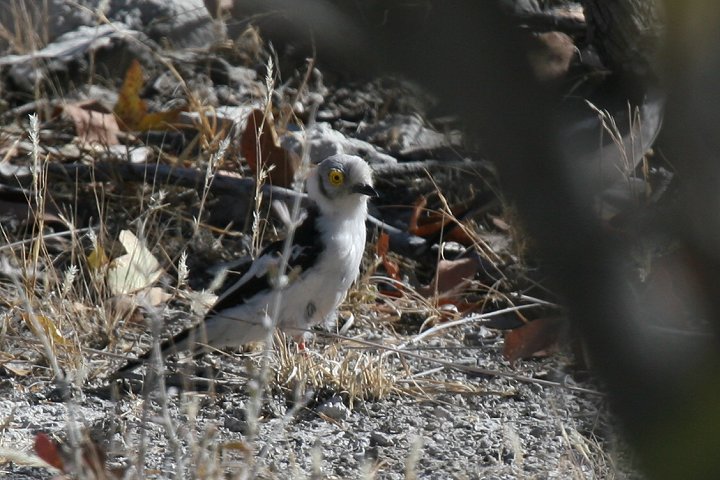 �G�{�V���K�l���Y