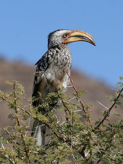 �~�i�~�L�o�V�R�T�C�`���E