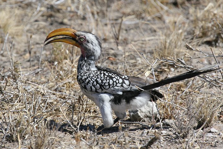 �~�i�~�L�o�V�R�T�C�`���E