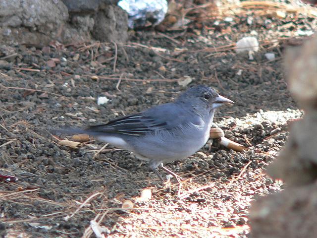 �A�I�A�g��