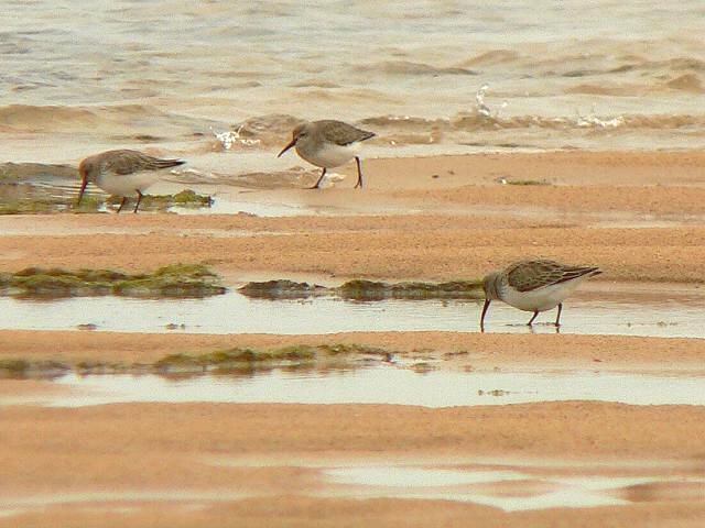 �n�}�V�M�i�~�H�j