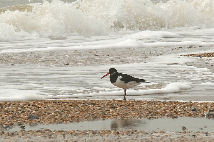 �~���R�h��