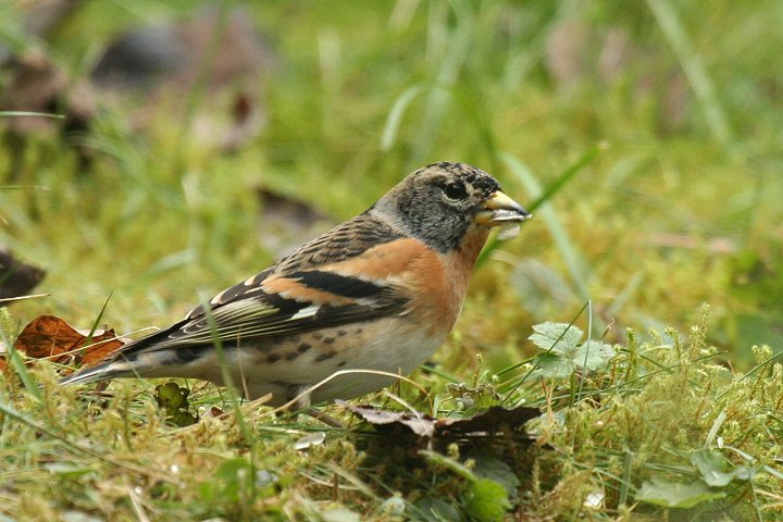 �A�g���́�