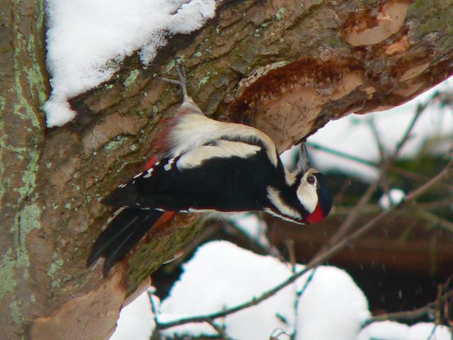 �A�J�Q���́�