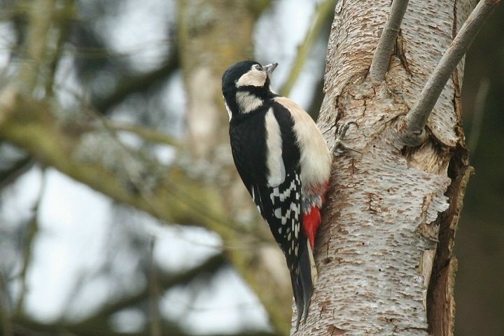 �A�J�Q����