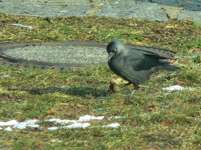 �j�V�R�N�}���K���X