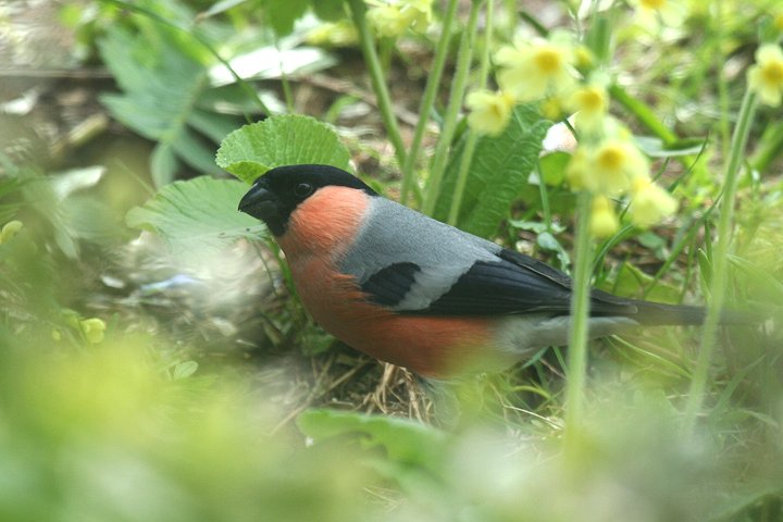 �E�\�i���j��