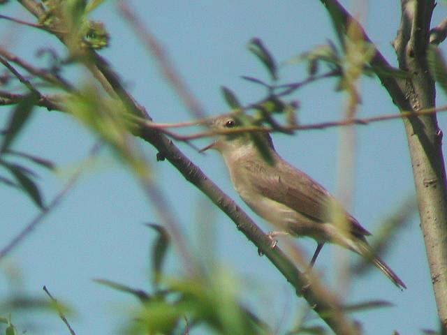 �j�����V�N�C