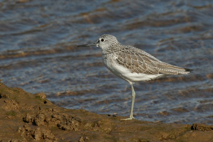 �A�I�A�V�V�M�i�~�H�j