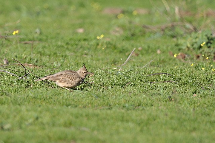 �J�������q�o��